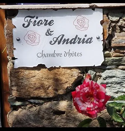 게스트하우스 Studio De Charme Fior Et Andrea